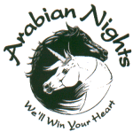 Discount Arabian Nights Dinner Show Tickets