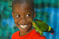 Gatorland Bird Aviary